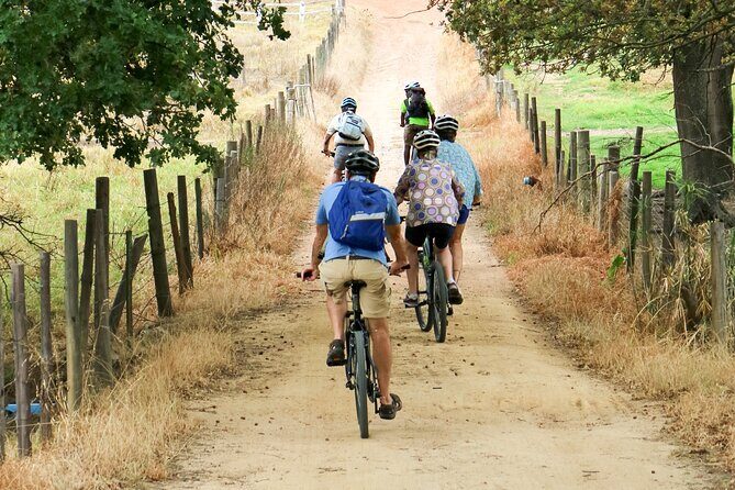 Stellenbosch Winelands Luxury EBike Tour © - The tastings and cellar tour: how to make the most of 20 wines
