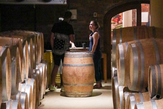 Stellenbosch Winelands Luxury EBike Tour © - Cycling the vineyards: ~15 km of scenery with planned breaks