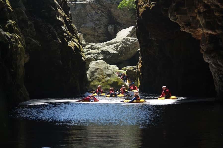 Storms River: Tsitsikamma National Park Blackwater Tubing - Key Things I’d Prioritize on This Tsitsikamma Tubing Day