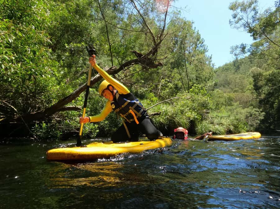 Stormsrivier: Green Route Tubing and Paddle-Boarding Tour - Plaatbos forest walk: why the land segment matters