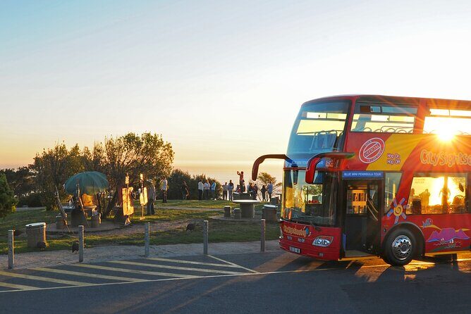 Summer Sunset Bus Tour in Cape Town - Camps Bay to Signal Hill: why this route feels like a story