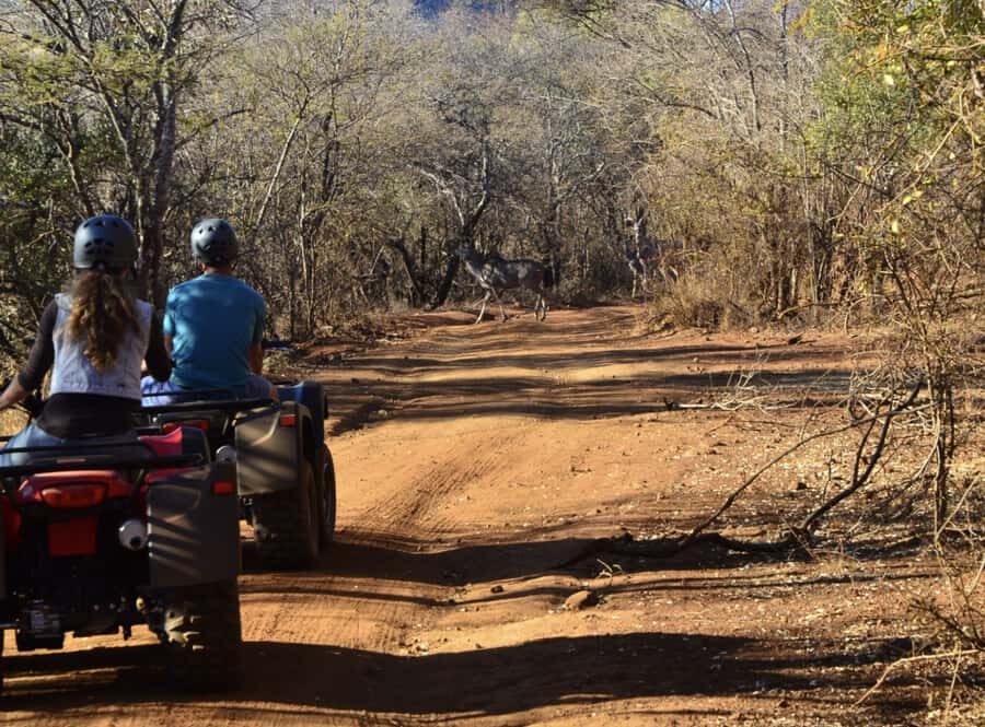 Sun City: Letsatsing Game Park Nature Trail Quad Bike Tour - The 30-Minute Nature Trail: Obstacles, Wind, and Wildlife Chances