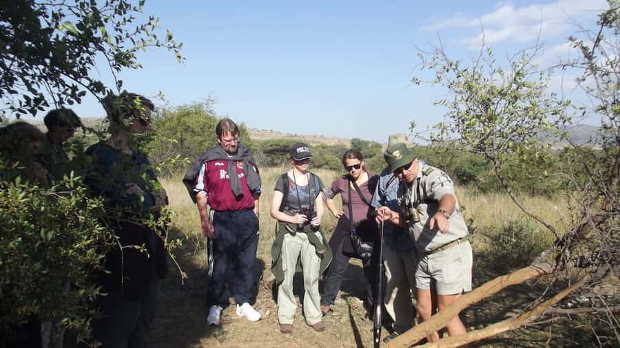 Sun City: Pilanesberg National Park Bush Walk - Pilanesberg National Park, Up Close and Personal