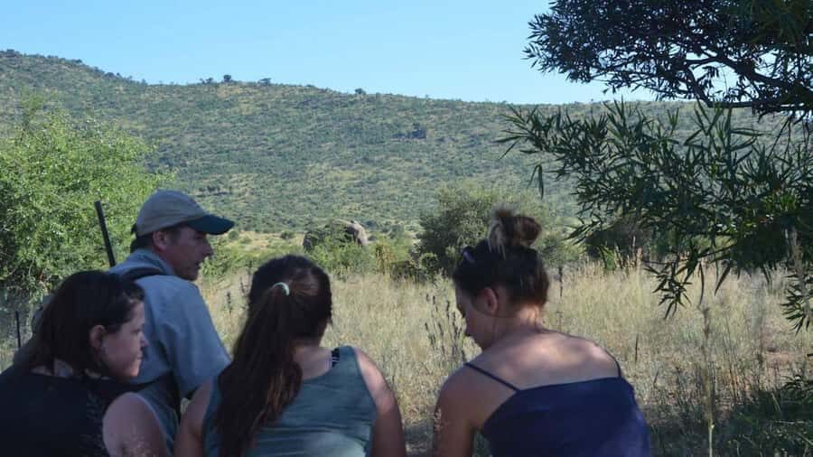 Sun City: Pilanesberg National Park Bush Walk - What to bring so your walk stays comfortable