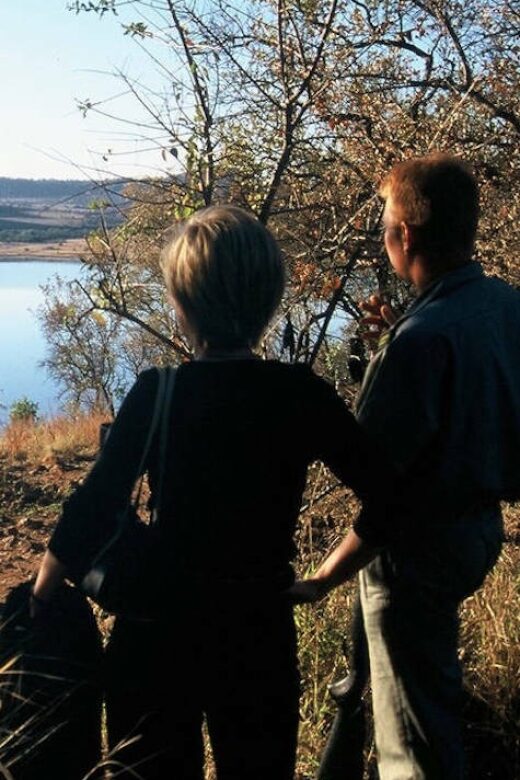 Sun City: Pilanesberg National Park Bush Walk - Weather and timing: when the morning plan changes