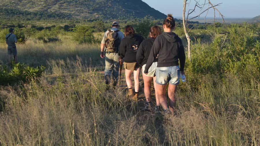 Sun City: Pilanesberg National Park Bush Walk - The 4-hour early morning walk: how your time is spent