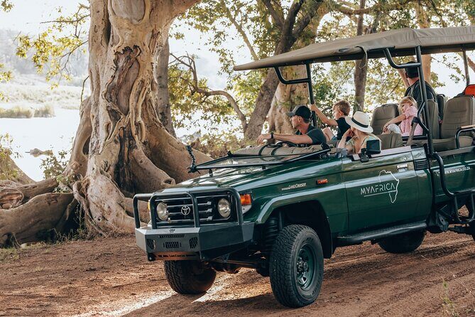 Sunrise Game Drive in Big5 Reserve - Key Points Before You Go