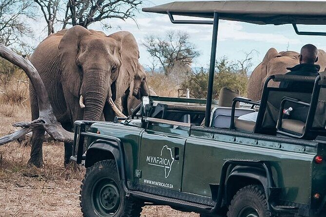 Sunrise Game Drive in Big5 Reserve - Small Group, Big Comfort: Why Max 9 Works for Families
