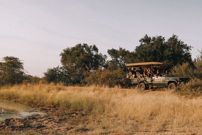Sunrise Game Drive in Big5 Reserve - Logistics That Actually Matter: Meeting Point, Duration, Mobile Ticket