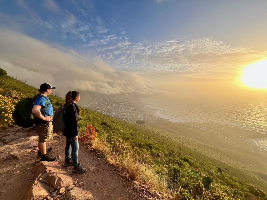 Sunrise & Sunset Lion's Head Hike + Hotel Pick-Up - Key Things You’ll Notice on This Lion’s Head Sunrise Hike