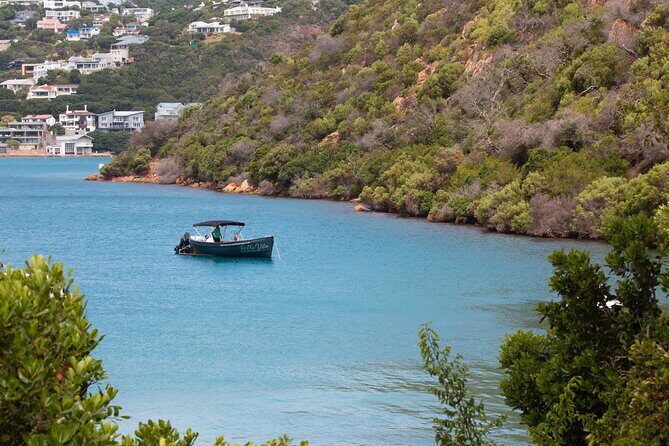 Sunset Boat Cruise on Bella Vita Champagne Lounger - Who should book this cruise, and who might skip it