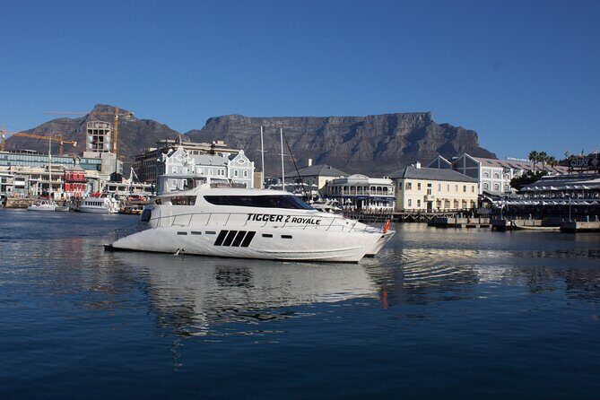 Sunset & Champagne Cruise for 2 pax on TIGGER 2 ( Guaranteed departure ) - Getting on board at the V&A Waterfront (and what’s included)