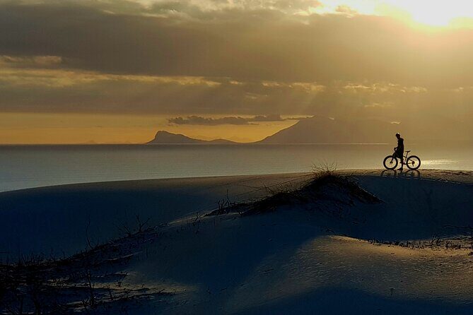 Sunset Fatbike Dune Experience - The climb down begins with Fynbos on a narrow sandy horse trail