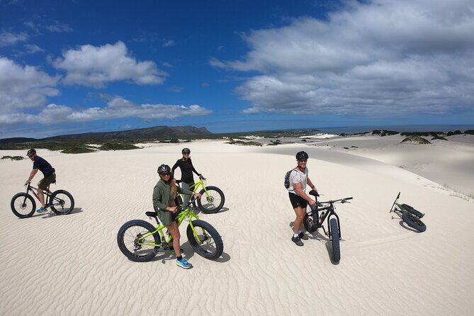 Sunset Fatbike Dune Experience - Price and value: $72.15 is paying for more than a bike rental
