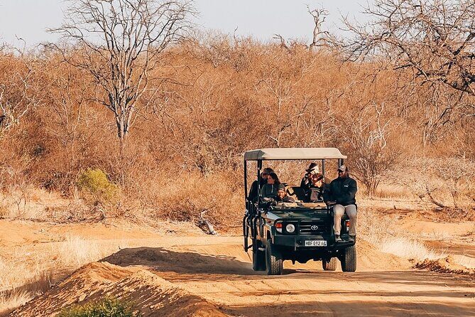 Sunset Game Drive in Big5 Reserve - Quick hits before you go