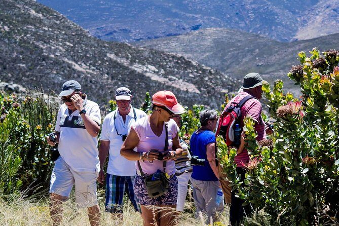 Swartberg Pass Tour including Traditional Karoo Lunch - Swartberg Pass: why this short tour feels worthwhile