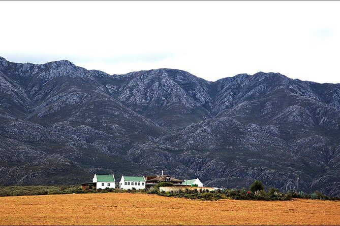 Swartberg Pass Tour including Traditional Karoo Lunch - The guide’s role: history, flora notes, and better photos