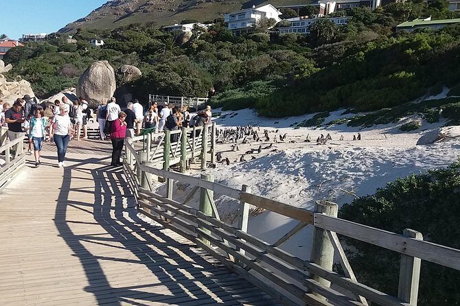 Swim with Penguins At Boulders Chapman's Peak Exc Entry Fees - Twelve Apostles and Llandudno: cliff geometry and a sunset vibe