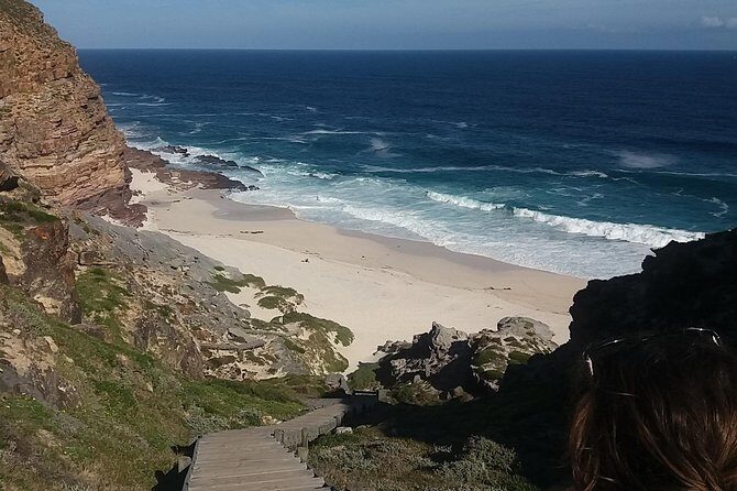 Swim with Penguins At Boulders Chapman's Peak Exc Entry Fees - Chapman’s Peak Drive: tolls included, views earned