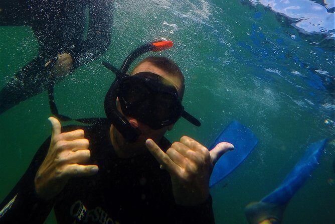 Swim with Seals - Itinerary in real human terms: two stops, one goal