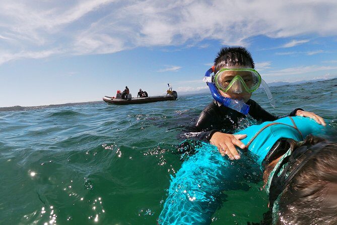 Swim with Seals - Price and value: is $51.47 worth your time?