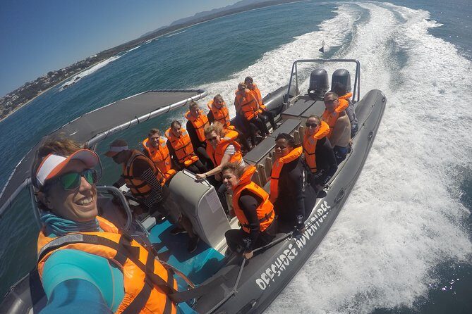Swim with Seals - The underwater moment: what it feels like to snorkel among fur seals