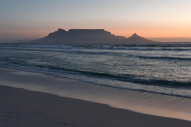 Table Mountain and Cape of Goodhope - Boulders Beach Penguin Colony: The Best Kind of Close-Up