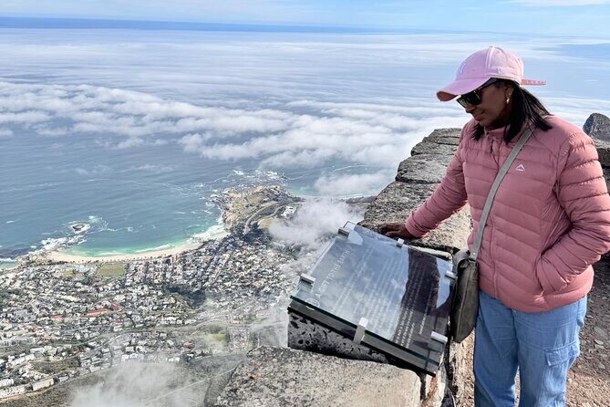 Table Mountain and Penguins Private Half Day Tour - Key highlights you’ll actually feel on this tour