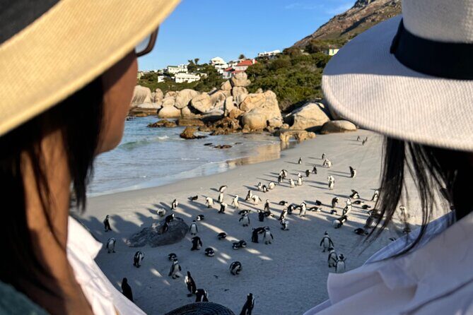 Table Mountain and Penguins Private Half Day Tour - How this Cape Town half-day feels: efficient, scenic, and easy to manage