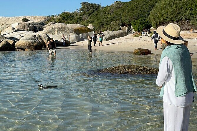 Table Mountain and Penguins Private Half Day Tour - Maiden’s Cove: fast Atlantic views with a classic photo payoff
