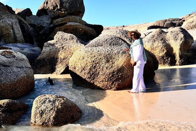 Table Mountain and Penguins Private Half Day Tour - Chapman’s Peak Drive: one of the best scenic drives in Cape Town
