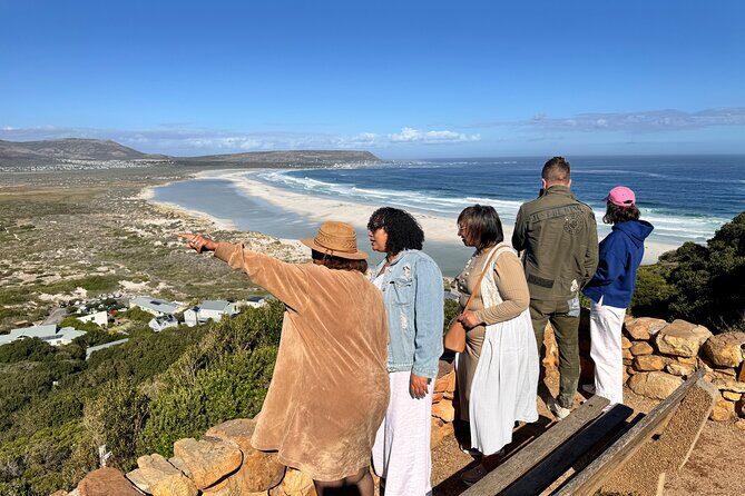 Table Mountain and Penguins Private Half Day Tour - Muizenberg Beach: colorful huts and a calm finish