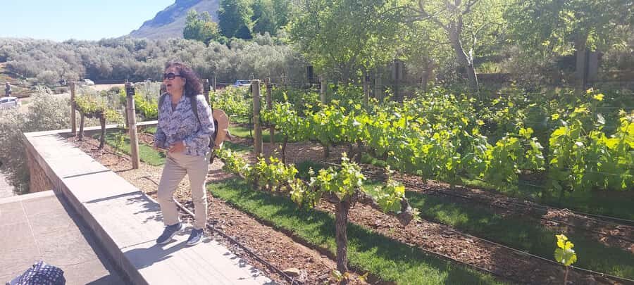 Table Mountain and Stellenbosch Wine tasting tour - How the 8 Hours Typically Feel (and How to Prepare)