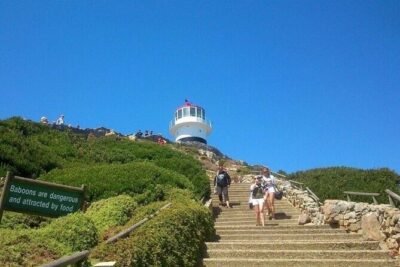 Table Mountain Boulder's Beach and Cape Point - Table Mountain by aerial cableway: plan for extra spend