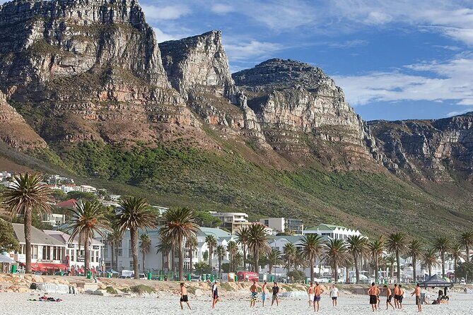 Table Mountain Boulder's Beach and Cape Point - Chapman’s Peak Drive: one viewpoint stop, big returns