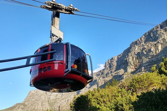 Table Mountain Boulder's Beach and Cape Point Tour - Key highlights to focus on