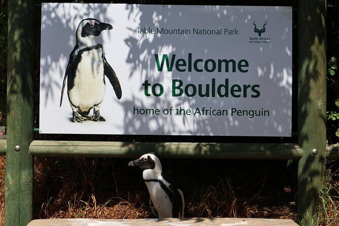 Table Mountain Boulder's Beach and Cape Point Tour - Cape of Good Hope: where the coast gets rough and famous