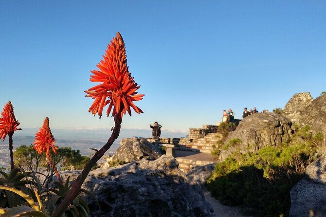 Table Mountain Boulder's Beach and Cape Point Tour - Old Cape Point Lighthouse and the Cape Point nature reserve