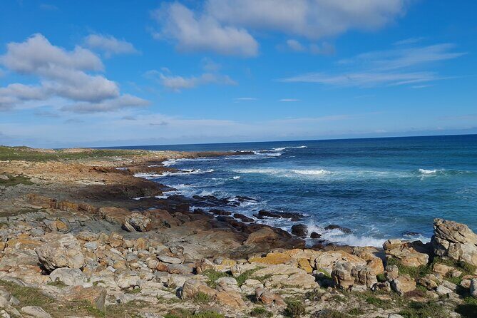 Table Mountain, Boulder's Penguins, Cape of Good Hope&Cape Point - Cape Town Central Orientation: Fast Context Before the Views