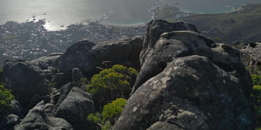 TABLE MOUNTAIN CABLE CAR EXPERIENCE WITH RESERVED TICKETS - Transportation in clean vehicles and professional guide care