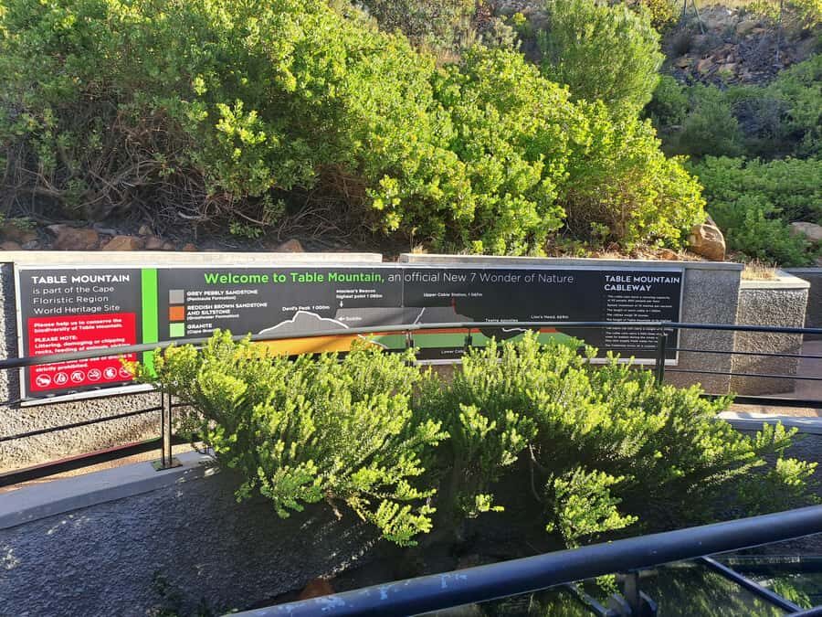 Table Mountain Cable Car Ticket with Transfer - Walking trails on the plateau: plants, dassies, and birds