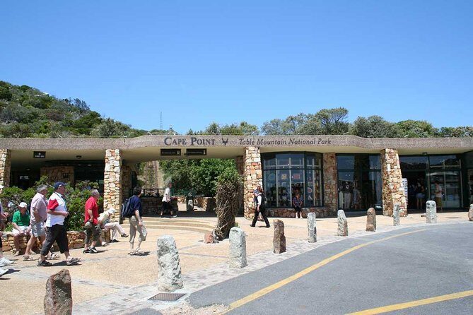 Table Mountain, Cape of Good Hope & Penguins - Chapman’s Peak and Noordhoek: Coastal Views with a Calm Moment