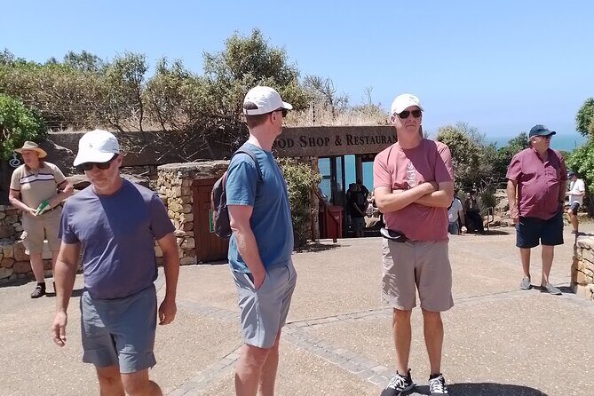 Table Mountain, Cape of Good Hope & Penguins - Boulders Beach Penguins: Close-Up Viewing Done Right