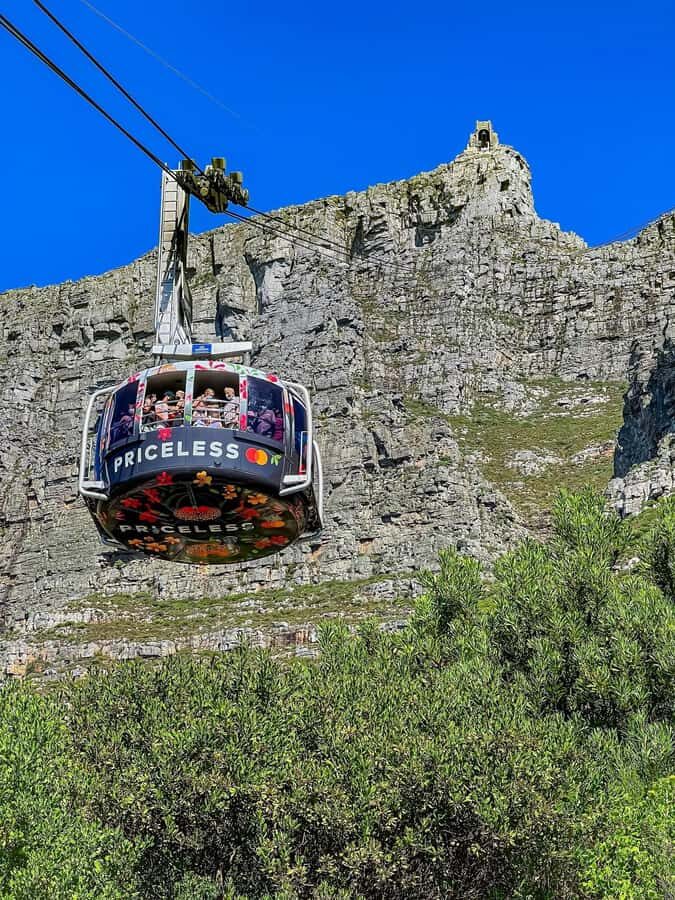 Table Mountain, Cape Of Good Hope, Penguins, Full Day Tour - Morning Pickup and the Table Mountain Cableway Ride