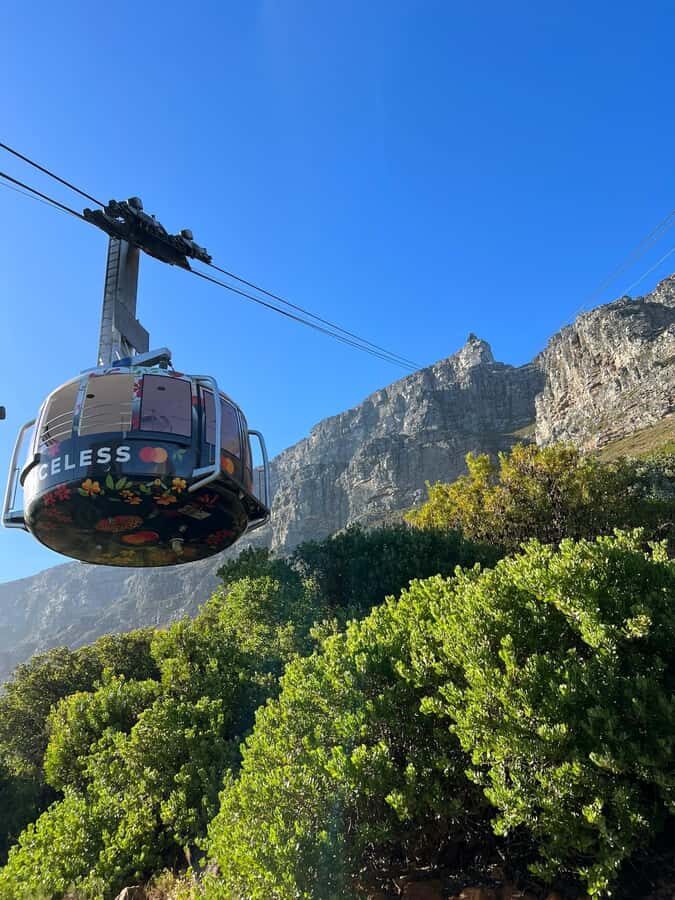 Table Mountain, Cape Of Good Hope, Penguins, Full Day Tour - Chapman’s Peak to Simon’s Town Lunch Break