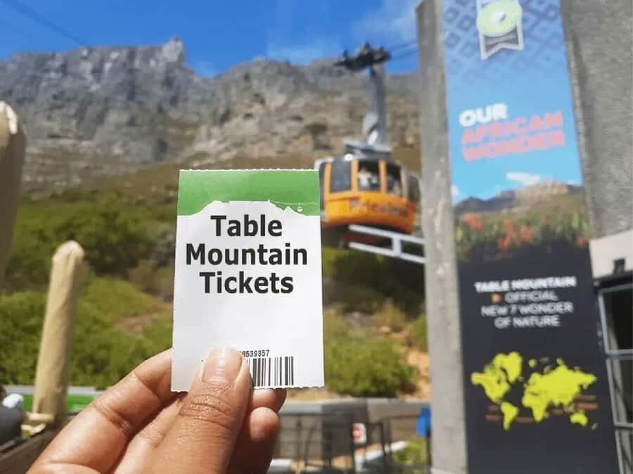 Table Mountain, Cape of Good Hope & Penguins Shared Tour - Boulders Beach penguins: a wildlife stop with respectful viewing