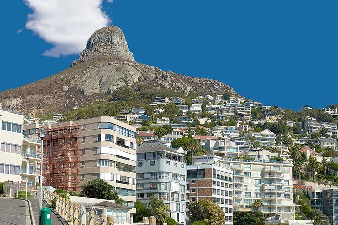 Table Mountain, Cape Point & Penguin Beach ENTRANCE INCLUDED - How private guides can make (or break) a day like this