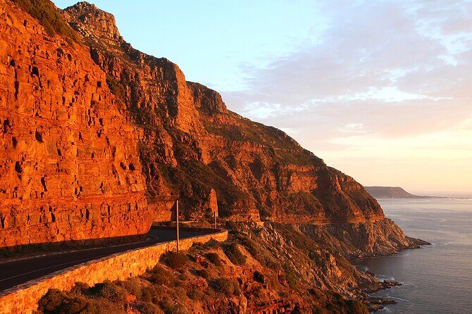 Table Mountain, Cape Point & Penguin Beach ENTRANCE INCLUDED - Who this private tour is best for