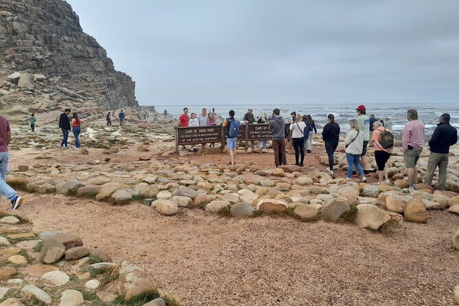 Table Mountain Cape Point Penguin Groot Constantia Private Tour - Key Highlights Worth Planning Around