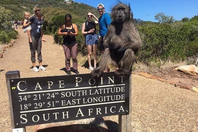 Table Mountain, Cape Point & Penguins Private ,From Cape Town - Cape of Good Hope: name confusion, current science, and quick sign-board photos